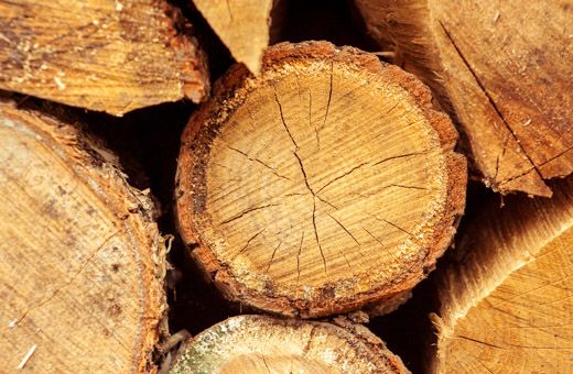 Alkuvuoden ripeä puukauppa hidastui loppuvuodesta, kantohinnat historiallisen korkeat