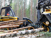 Metsäalan ammattitutkinnon voi suorittaa omaa työtä tehden, omalla työpaikalla.