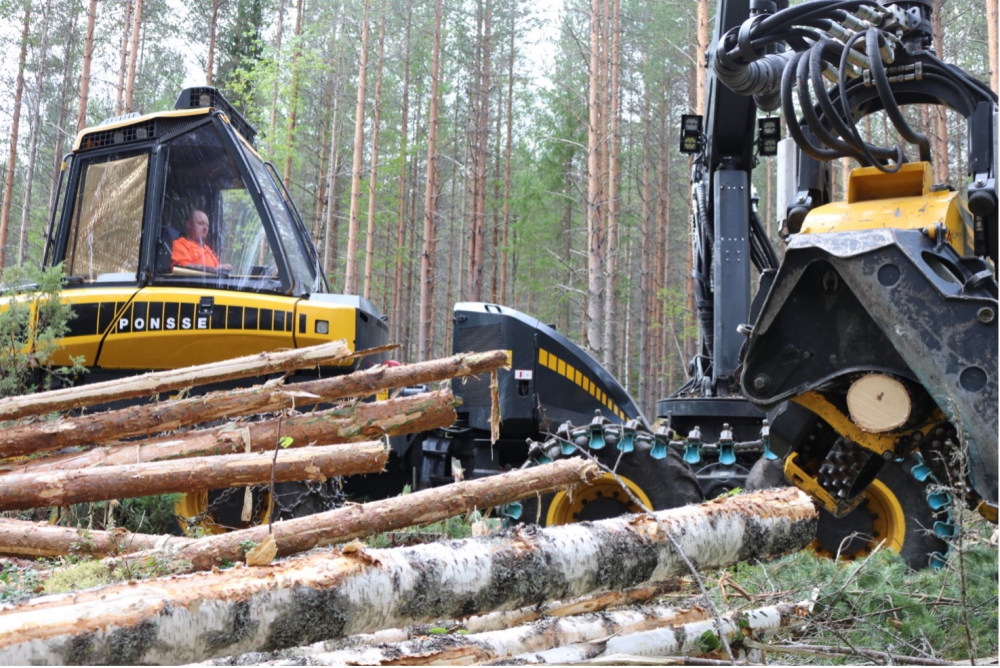 Metsäalan ammattitutkinnon voi suorittaa omaa työtä tehden, omalla työpaikalla.