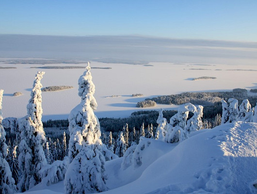 Kuva: kuviasuomesta.fi, kuvaaja Roine Piirainen