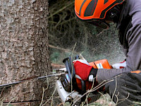 Yhdessä yrittäjyyden puolesta – Metsäalan Yrittäjät ry
