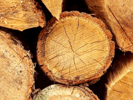 Alkuvuoden ripeä puukauppa hidastui loppuvuodesta, kantohinnat historiallisen korkeat