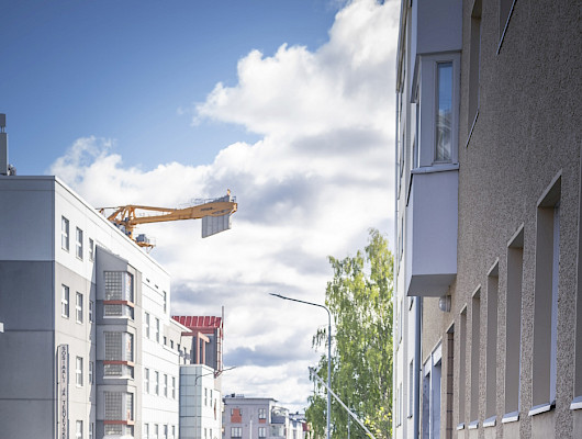 Kuva: Salla Seeslahti