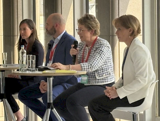 "EU:n tulevan biotaloustalousstrategian tulee olla kunnianhimoinen ja eteenpäin katsova", totesi maa- ja metsätalousministeri Sari Essayah Brysselissä.