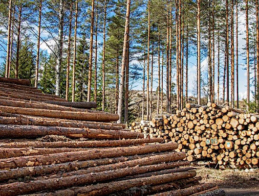Hyvin toimivat ja avoimet puumarkkinat ovat perusta kotimaisen puun käytölle. Metsäteollisuus tekee vuosittain yli 100 000 puukauppaa yksityisten metsänomistajien kanssa.