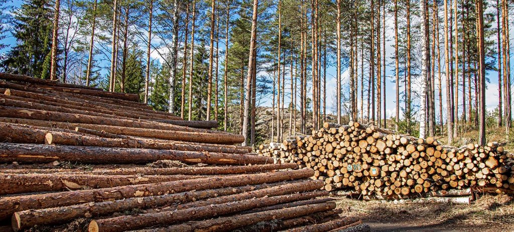 Hyvin toimivat ja avoimet puumarkkinat ovat perusta kotimaisen puun käytölle. Metsäteollisuus tekee vuosittain yli 100 000 puukauppaa yksityisten metsänomistajien kanssa.