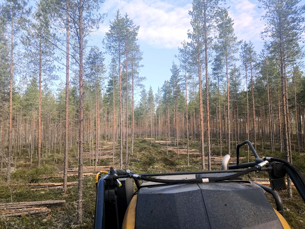 Lämmöksi Oy laajentaa toimintaansa. Uusi energiapuun hankintayhtiö on nimetty Kaunismetsä Oy:ksi.
