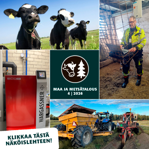 näkkäribanneri_MAAMETSÄ