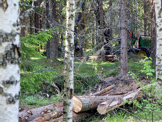 Metsänomistajien kiinnostus puukauppaan on laskusuunnassa