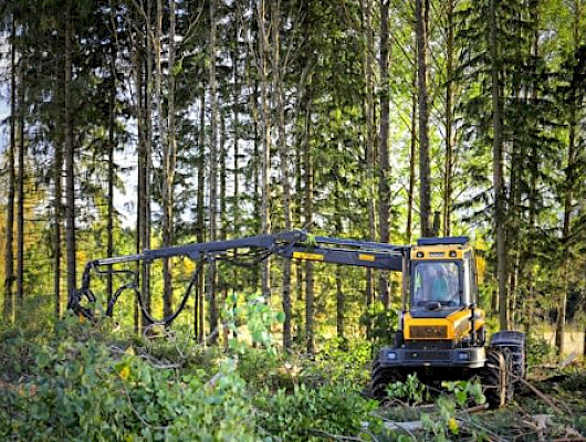Suomalaiset näkevät metsäteollisuuden hyvinvoinnin luojana