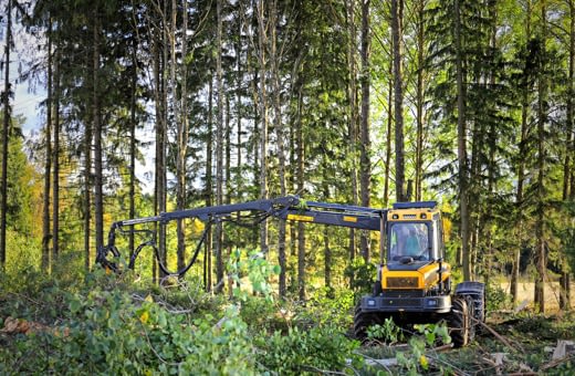 Suomalaiset näkevät metsäteollisuuden hyvinvoinnin luojana