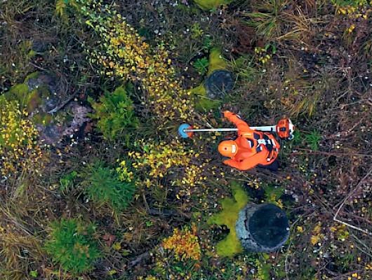 Metsä Groupin tekoälysovellus uudistaa taimikonhoitotöiden hinnoittelun