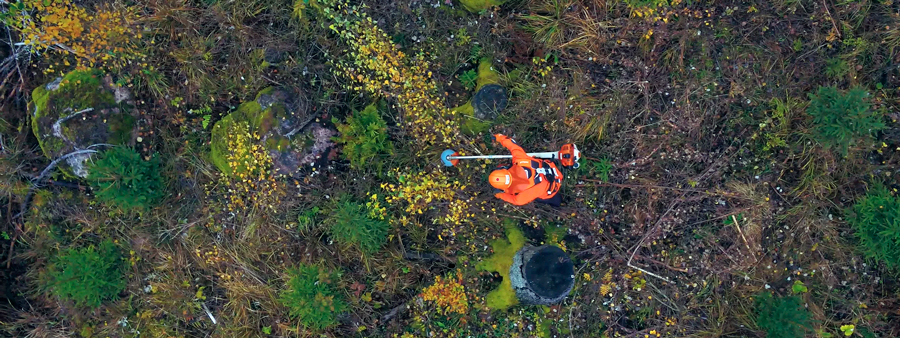 Metsä Groupin tekoälysovellus uudistaa taimikonhoitotöiden hinnoittelun