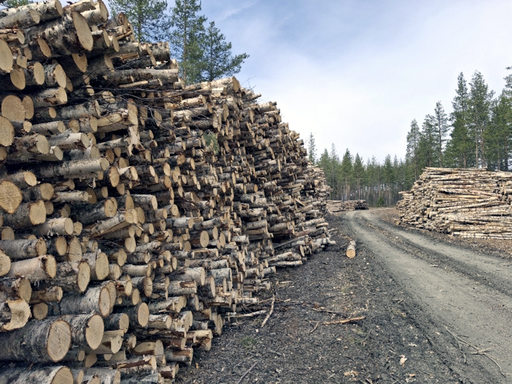 Metsäautoteiden kunto on yksi suometsien puunkorjuun suurimmista pullonkauloista tulevina vuosina. Kuvaaja: Sari Hilli