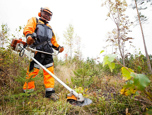 Metsätalouden tukirahat loppumassa – metsänomistajien hakemuksia siirtyy ensi vuoteen