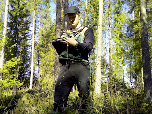 Metsäsuunnittelu Hollanti tarjoaa metsänomistajalle kattavat palvelut