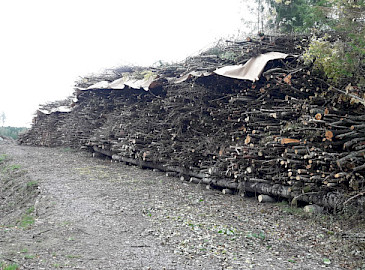 EPM Metsä Oy on huolellinen puunostaja
