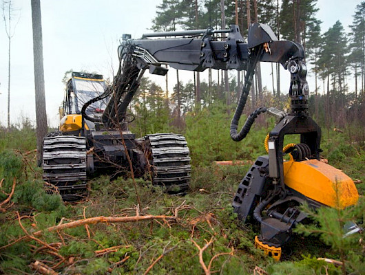 Metsäalan toimijat kohtaavat Kalajoella – Proforest-tapahtuma tarjoaa lukuisia syitä osallistua