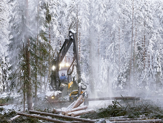 Ammattilaisetkin kasvavat Metsässä