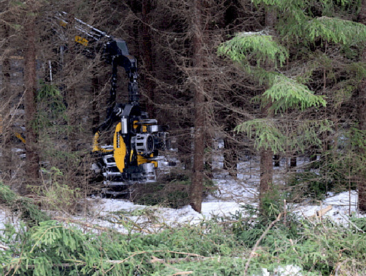 Yli 11 prosentin nousu metsäkoneurakoinnin kustannuksissa puolessatoista vuodessa
