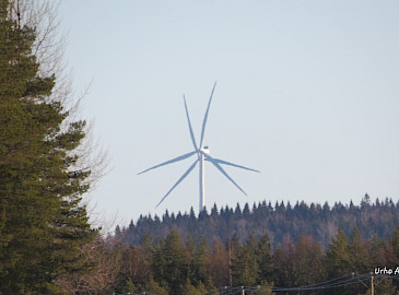 Pyhännän ja Kajaanin kuntiin sijoittuvalla Piiparinmäen tuulivoimapuistolla tuotetaan Suomen sähköverkkoon yli 700 GWh puhdasta sähköä vuosittain. Kyseessä on Suomen suurin tuulivoimapuisto, joka tuo merkittäviä taloudellisia hyötyjä sekä paikallisesti että valtion tasolla.
