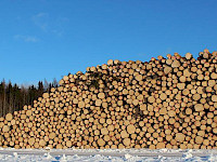 Huhtikuun 2022 puumarkkinakatsaus: kotimaiselle puun käytölle odotetaan kasvua